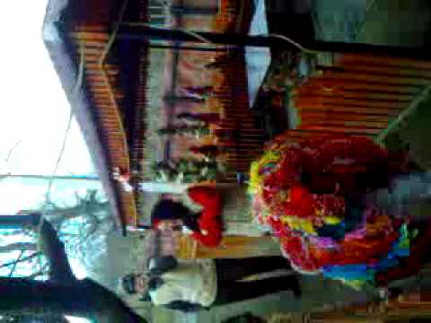 caprita de la muncel valea ursului jud NT