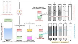 Microbial Assay of Antibiotics | Turbidity Method for Assay of Antibiotics | Microbial Assay Methods