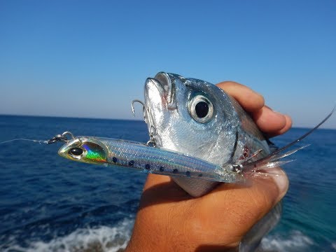 DUO Masterclass #3: How to use Bay RUF Manic Fish (and full fishing)