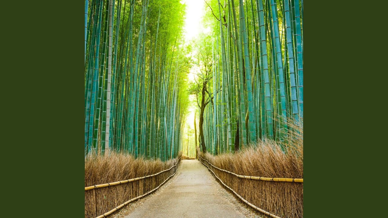 Il Giardino di Pace