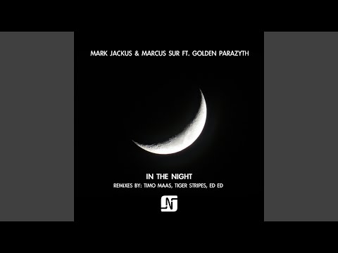 In the Night (feat. Golden Parazyth) (Tiger Stripes Remix)