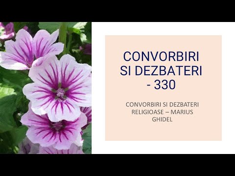 NICIUN MESIA BLAND - 1