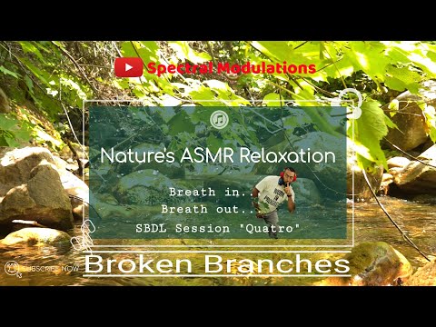 SBDL Session 4: Streamin' Stones | Flowing Water & Rock Pool Ambience for Sleep & Focus