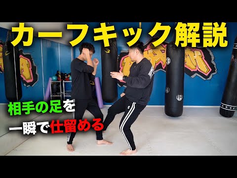 ヒット率100%？　カーフキックの蹴るタイミング#キックボクシング