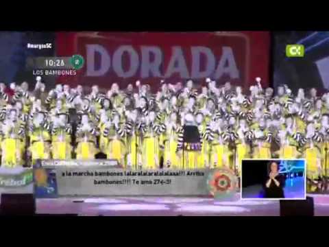 Murga Los Bambones   Final   2015 odisea murguera