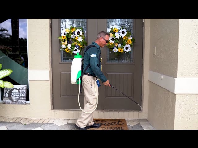 شركة مكافحة حشرات في العين - ورش مبيدات حشرية