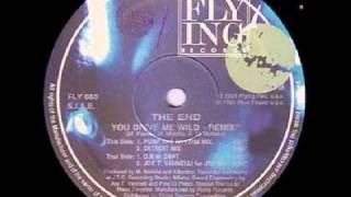 The End - You Drive Me Wild (Remix)