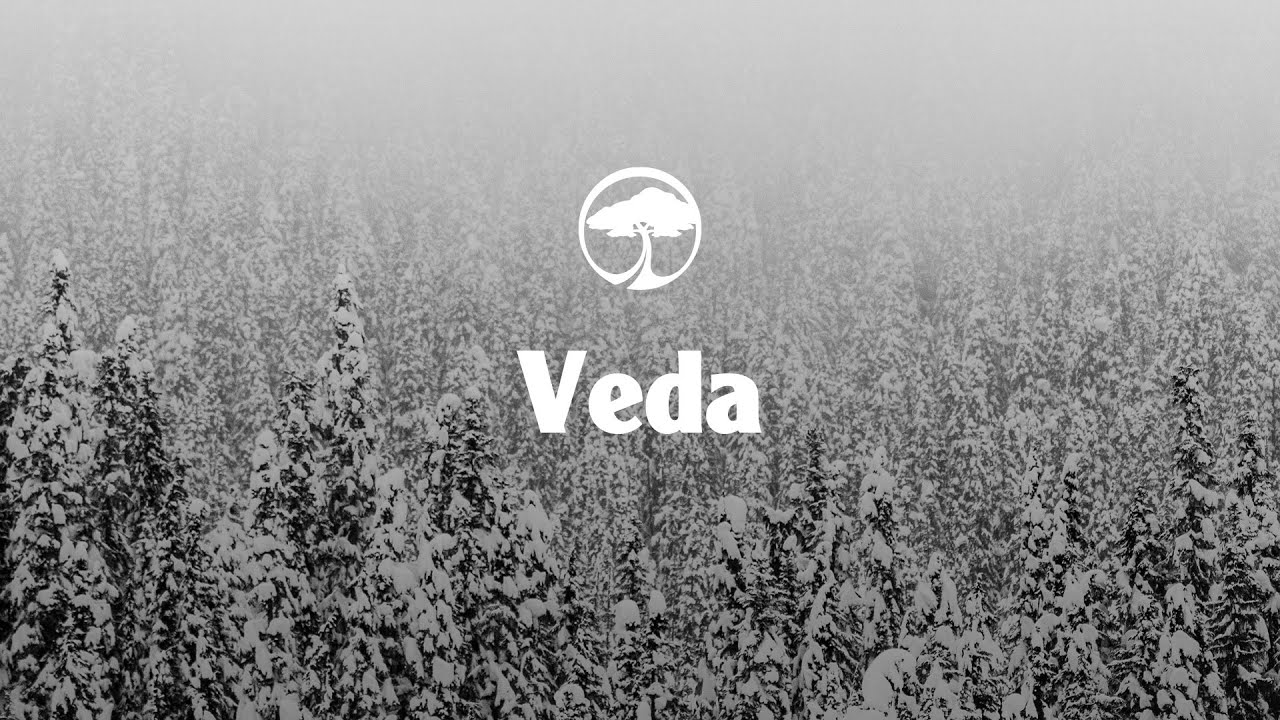 Video Arbor Veda Camber