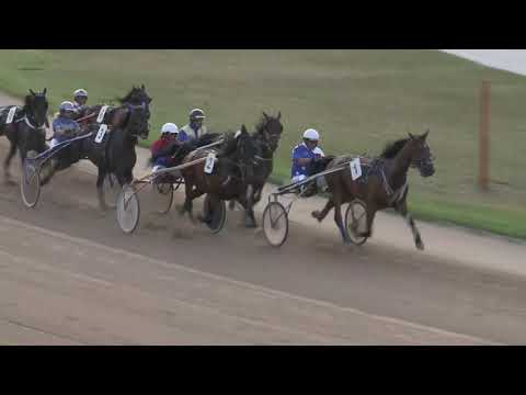 2018.06.09. 11. futam - BUTTERFLY DÍJ