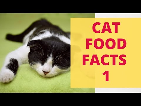 Specific Cat Food Purchase Tips. What Popular Cat Food Brands? Cat Food Facts Overview.