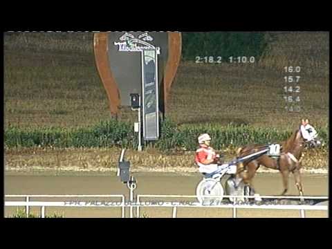 Trotto corse del 15 Agosto 2015