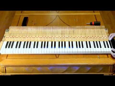 How to assemble a Rhodes piano from scratch in 5 minutes