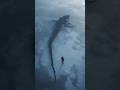 100-Foot Sea Creature Filmed Lurking Beneath Antarctic Ice