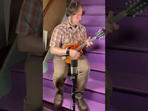 1981 Paul Wooldridge F-Style Carved Mandolin (VIDEO! Fresh Work, Ready) image 24