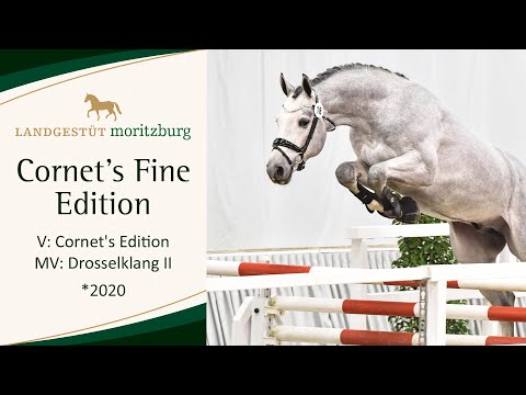 CORNET'S FINE EDITION v. Cornet's Edition - Drosselklang II 2023