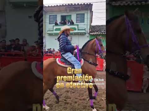​🐴 Gran Cabalgata y Exhibición Equina en Iles, Nariño 🐴