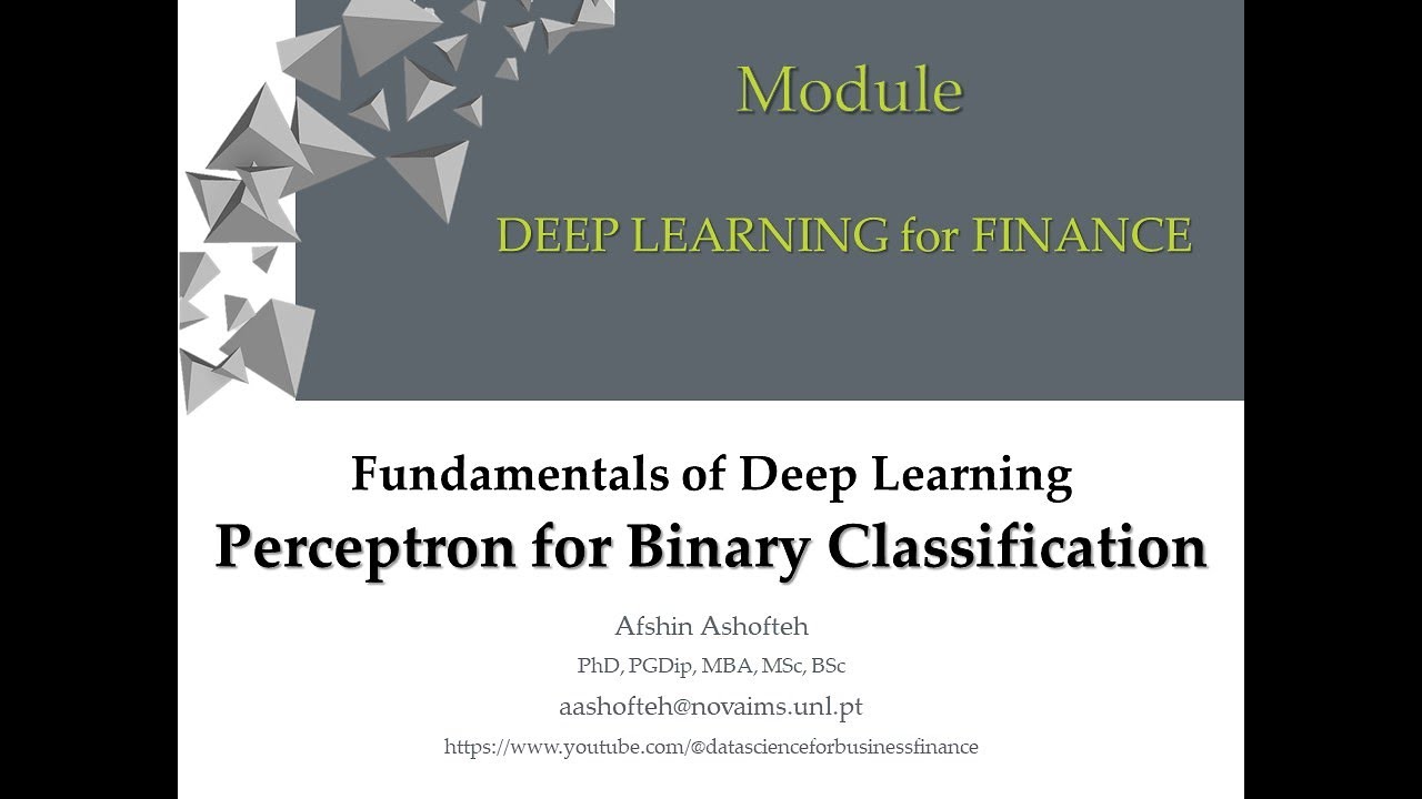 DL(2-1)-Perceptron for Binary Classification and Credit Scoring