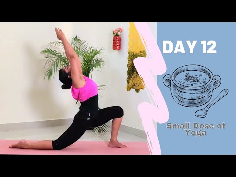 Day 12 - Small Dose of Yoga/Beginners Yoga/Moon Salutation/Chandra Namaskar