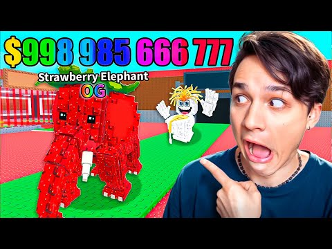 КУПИЛ СВЕРХ УДАЧУ И ПОЛУЧИЛ САМОГО РЕДКОГО БРЕЙНРОТА В УКРАДИ БРЕЙНРОТ РОБЛОКС!