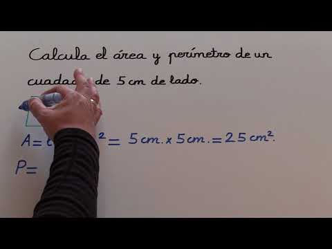 GETTING THE AREA AND PERIMETER OF A SQUARE SUPER EASY