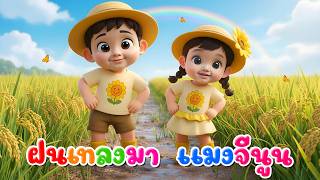 เพลงฝนเทลงมา แมงจีนูน  l เวอร์ชั่นน้องพราว เดอะคิดส์ซอง 2569 | The Kids Song
