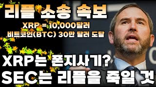 리플&BTC I 소송 속보 I XRP = 10,000달러 I XRP는 폰지사기? I 비트코인캐시(BCH) 폭등시킨 세력의 정체 I SEC는 리플을 죽일 것