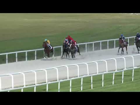 2019.05.26. 07. futam - DR GURU HENDIKEP (II.o.) (szintetikus pálya)