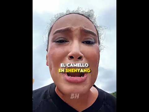 La MOJARON toda