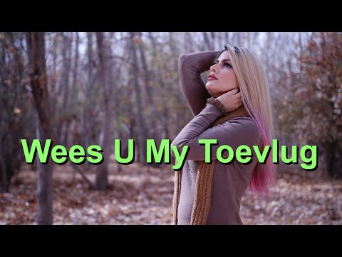🌟 Wees U My Toevlug (Be Thou My Vision) - Karaoke Fluit Instrumenteel Mary Elizabeth Byrne V1 AfF