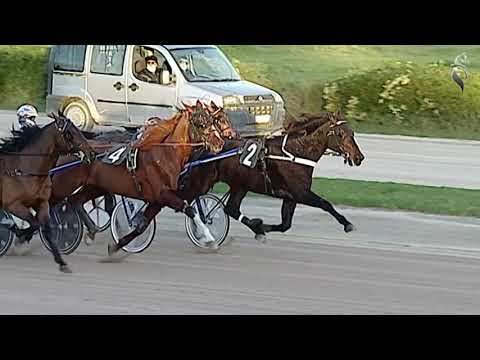 Aversa trotto 5 Dicembre 2020 - 6° Corsa