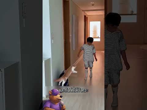 เมื่อแมวโดนแกล้ง…การเอาคืนสุดน่ารักก็เริ่มขึ้น 😼💥