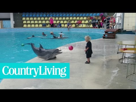Un adorable bambin joue à la balle avec un dauphin enjoué | country living