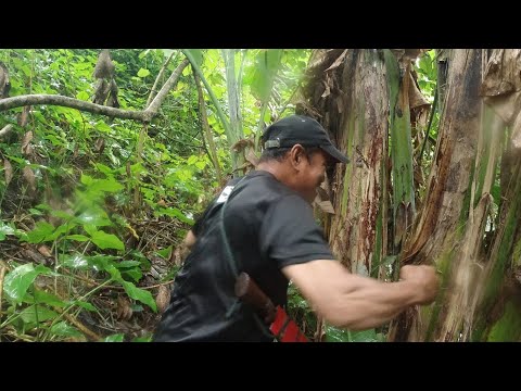 SE02EP119 Part 1 - ATAKE Kasabay ng BAGYONG ODETTE at ang BAKSIK ng KAMAO ni BOY SUNTOK | SPC laguna