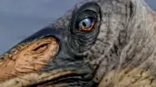 Reptiles of the Skies - Walking with Dinosaurs - BBC