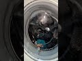 Hotpoint Wf320 Coolwash30 Saturation