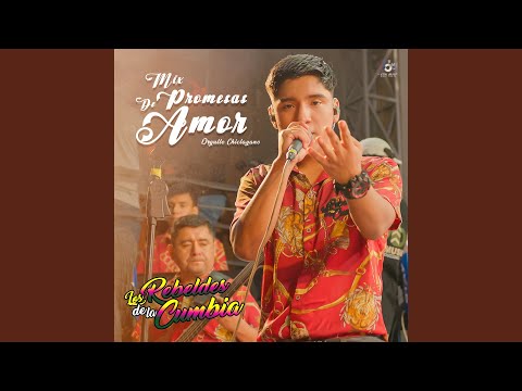 Mix Promesas De Amor (En Vivo)