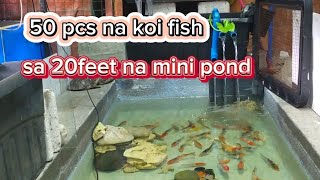 NAG LAGAY AKO, 50 PCS NA KOI FISH SA MINI POND