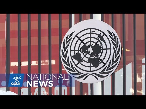 Federal committee hears mixed messages about proposed UNDRIP bill | APTN News