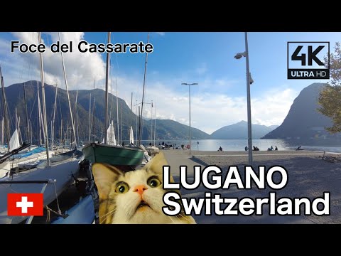 🇨🇭 Lugano (Switzerland) | The only place you need to know! Stunning View @Foce del Cassarate [4K]