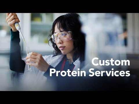 R&D Systems Custom Protein Development Services - Bio-Techne