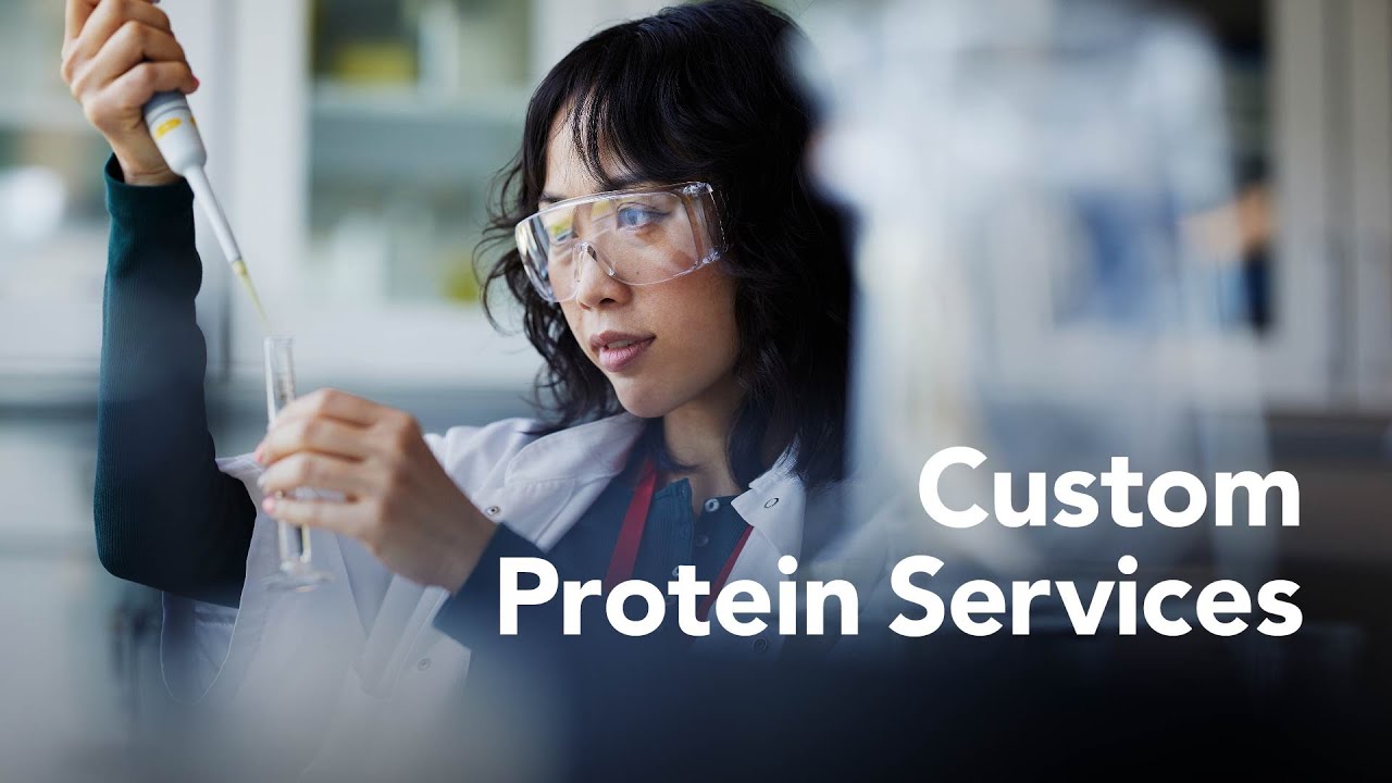 Custom Protein Services from BioTechne