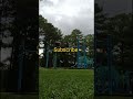 Backflip Off The Swing Set