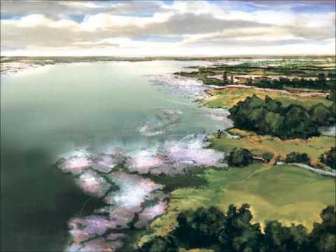 VGM Random Playlist #70 Final Fantasy 10 - Sprouting