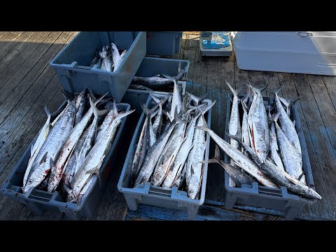 Commercial Mackerel Fishing | Mate For A Day | What Does It Pay?