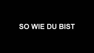 Flysick - So Wie Du Bist  (Remix)