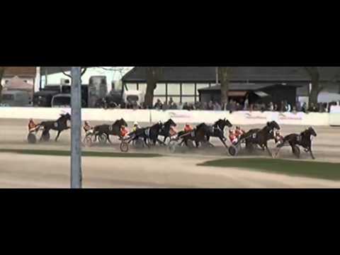 Adbell Toddington_Trial I 2013_Easy Lover 1:16,4_Michael Nimczyk