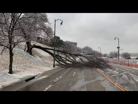 Ice Continues To Build As Trees Falls Across Memphis, Tennessee