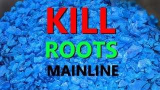 HOW TO Kill Roots In Your Drain