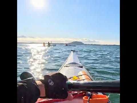 Warm up #kayak #seakayak  #warmup #paddler