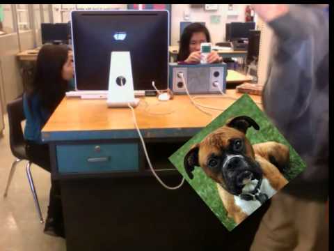 INSANE DOG CHASES MAN THROUGH NEW YORK